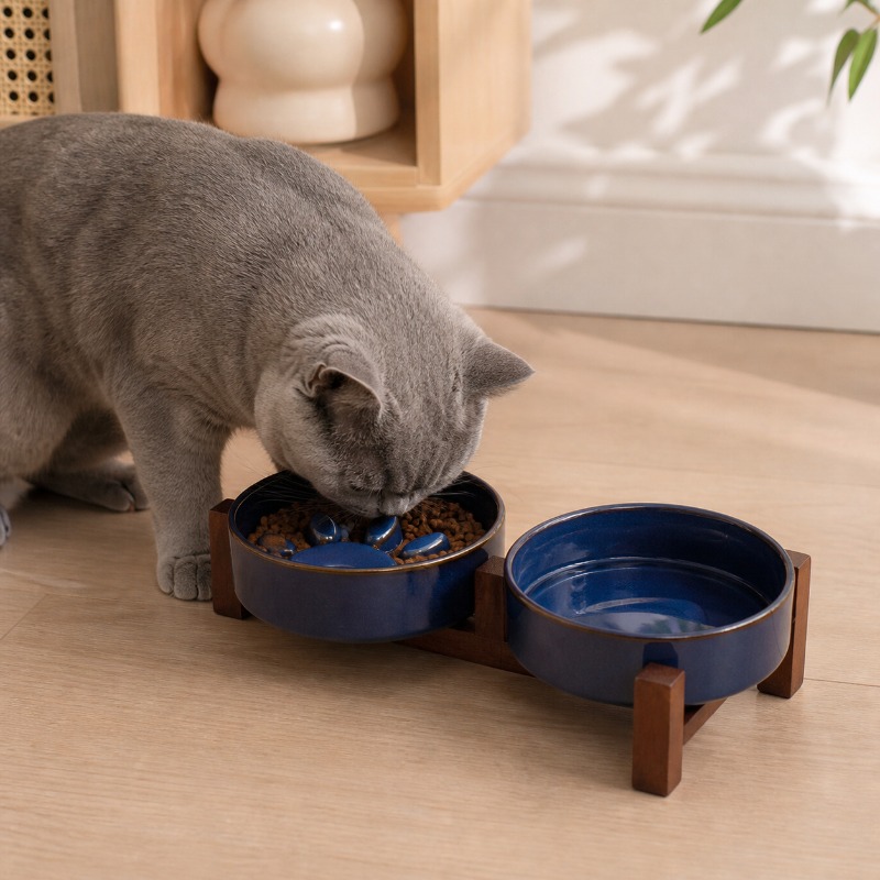2027 Japanese-style Kiln Ceram - огляд і ціна Royal Canin Food Medium