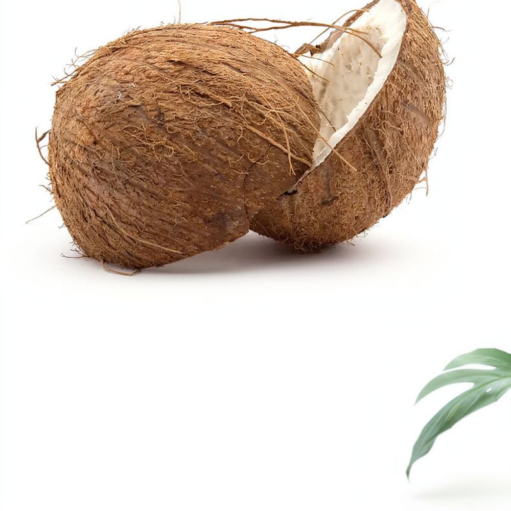 Premium Dehydrated Coconut Coi - огляд і ціна Substrate Coconut Fiber