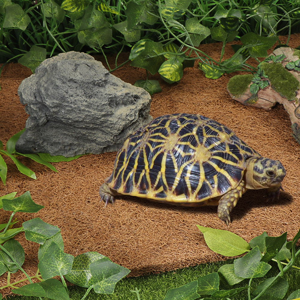 Reptile Substrate Carpet Made  - огляд і ціна Substrate Coconut Fiber
