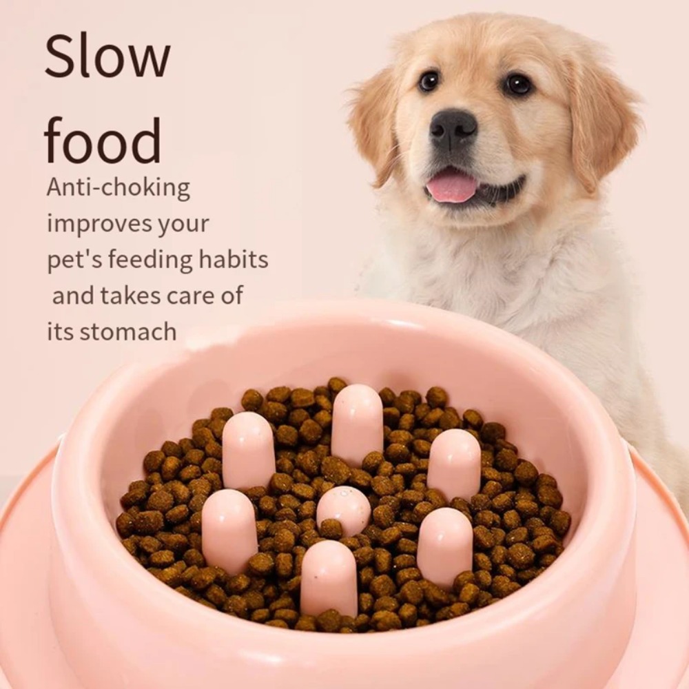 Pet Dog Slow Feeder Bowl Fun N - огляд і ціна Royal Canin Food Medium